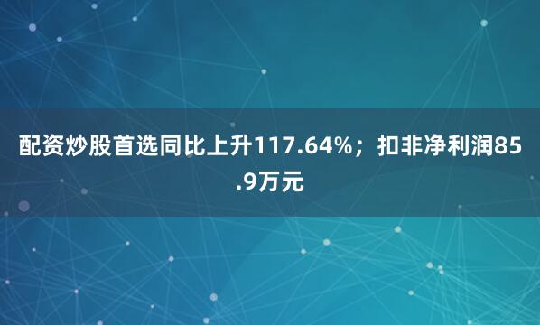 配资炒股首选同比上升117.64%；扣非净利润85.9万元