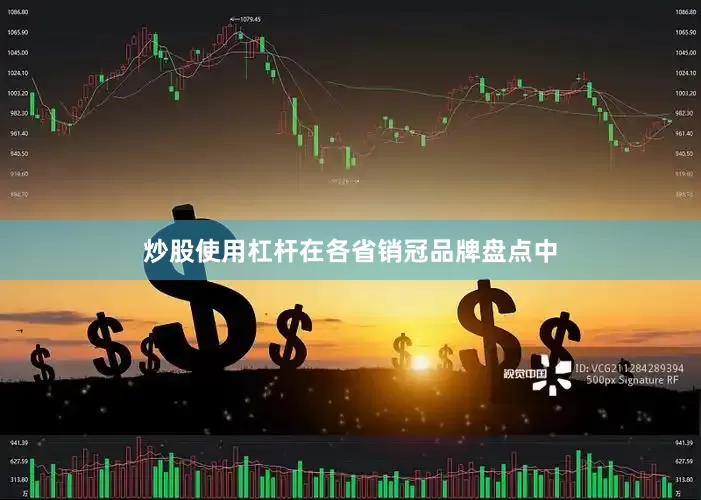 炒股使用杠杆在各省销冠品牌盘点中